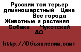 Русский той-терьер длинношерстный › Цена ­ 7 000 - Все города Животные и растения » Собаки   . Чукотский АО